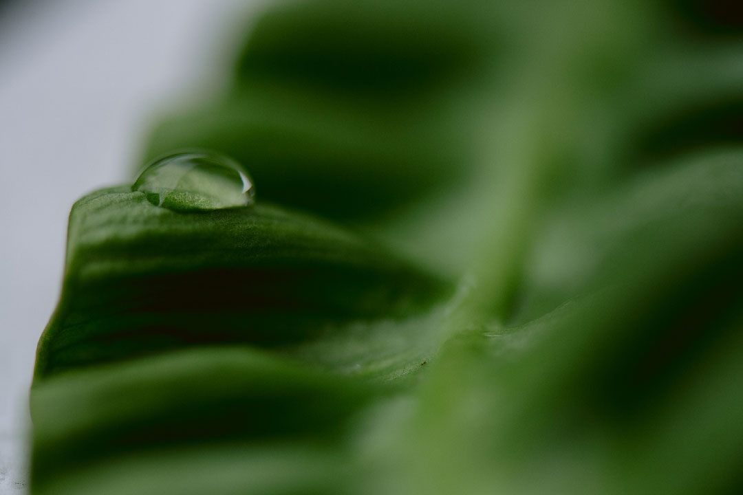 green-energy-48